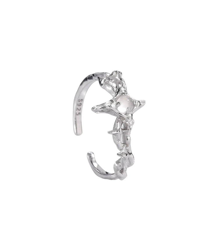Arctic Star Silver Ring